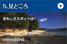 見どころ