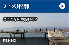 釣り情報