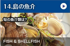 島の魚介